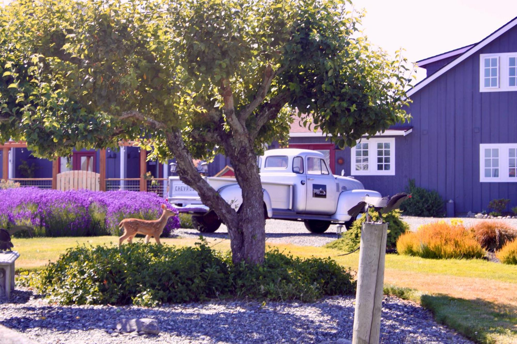 Dungeness Barn House Bed And Breakfast At Two Crows Farm Sequim Luaran gambar