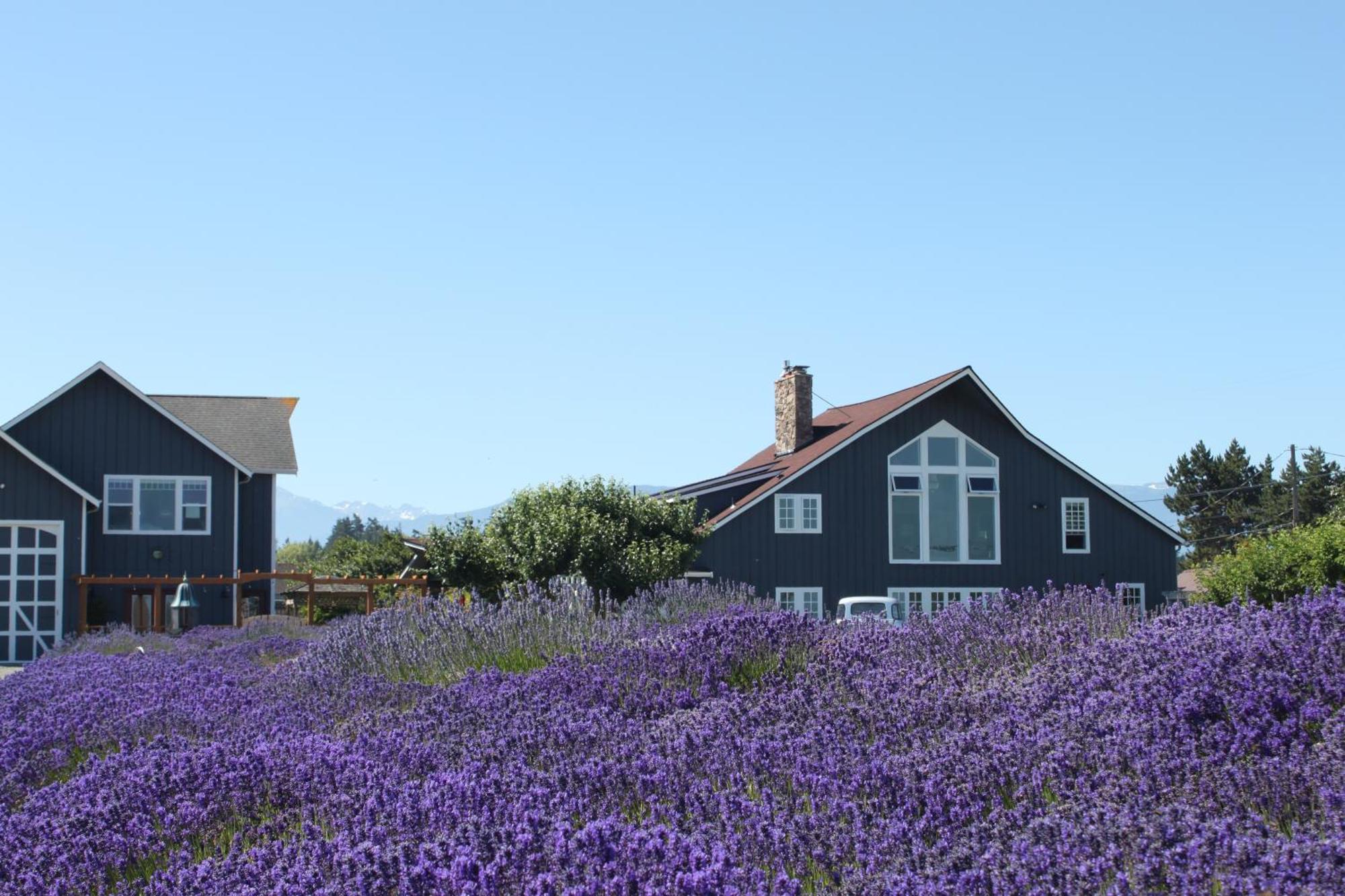 Dungeness Barn House Bed And Breakfast At Two Crows Farm Sequim Luaran gambar