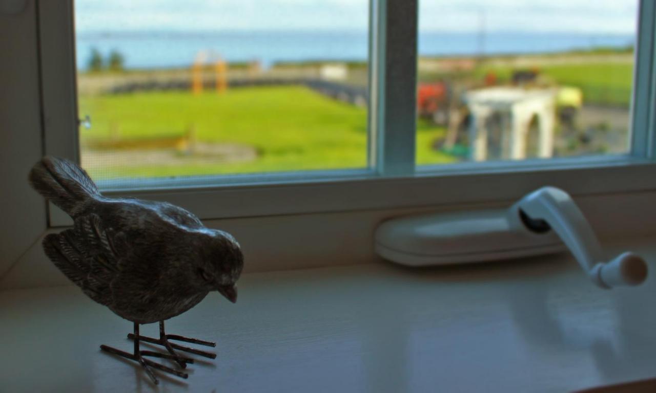 Dungeness Barn House Bed And Breakfast At Two Crows Farm Sequim Luaran gambar